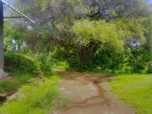 TANAH KUBUTAMBAHAN BULELENG BALI BL46 lokasi di Buleleng Kab., tersedia melalui melalui situs Olx