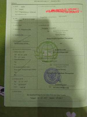 Tanah ladang 2 ha 14 MURAH 250 JUTA lokasi di Tulang Bawang Kab., tersedia melalui melalui situs Olx