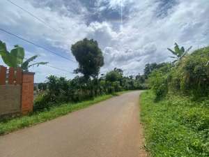 Tanah Ladang 2036 m2 Pinggir Jalan Bisa Papasan Mobil Dijual Murah lokasi di Purwakarta Kab., tersedia melalui melalui situs Olx