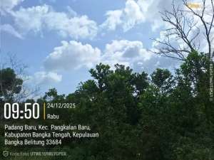 TANAH LAPANG DI LOKASI STRATEGIS BANGKA BELITUNG lokasi di Bangka Tengah Kab., tersedia melalui melalui situs Olx