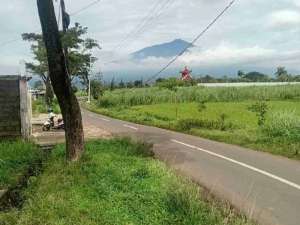 TANAH LOKASI LAWANG KABUPATEN MALANG lokasi di Malang Kab., tersedia melalui melalui situs Olx