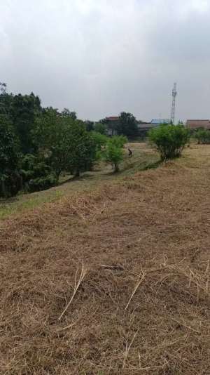 Tanah Lokasi Strategis Dekat Pintu Tol di Serpong lokasi di Tangerang Selatan Kota, tersedia melalui melalui situs Olx