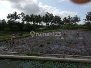 Tanah Lokasi Strategis Dijual di Jalan Raya Secang Magelang lokasi di Magelang Kota, tersedia melalui melalui situs Olx