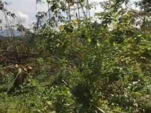 Tanah lokasi strategis. luas. bebas banjir lokasi di Tangerang Kab., tersedia melalui melalui situs Olx