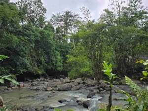 tanah los sungai berbatu di tabanan bali lokasi di Tabanan Kab., tersedia melalui melalui situs Olx