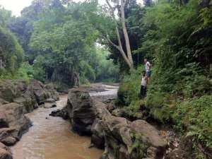 Tanah Los Sungai Kedungu Kediri Tabanan lokasi di Tabanan Kab., tersedia melalui melalui situs Olx