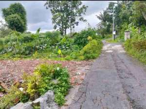 tanah luas 131m2 barat pasar pakem jl Kaliurang km 16 lokasi di Sleman Kab., tersedia melalui melalui situs Olx