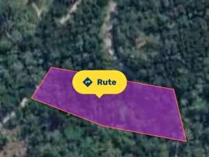 Tanah Luas 2000 Meter Persegi Lokasi Argorejo Sedayu Sleman lokasi di Bantul Kab., tersedia melalui melalui situs Olx