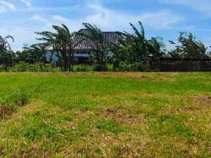 Tanah luas 272 meter ber sertifikat lokasi di Malang Kab., tersedia melalui melalui situs Olx