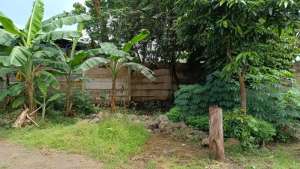 Tanah Luas 300 mLokasi Potensial, Harga Nego lokasi di Cilegon Kota, tersedia melalui melalui situs Olx