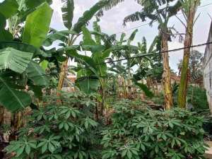 Tanah Luas 390 m2 SHM bebas banjir Dekat ke Perigi -BSD - Lengkong Karya lokasi di Tangerang Selatan Kota, tersedia melalui melalui situs Olx