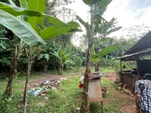 Tanah Luas 500 Mtr Di Setu Tanggerang Selatan lokasi di Tangerang Selatan Kota, tersedia melalui melalui situs Olx