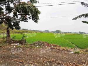 Tanah Luas 5.115 m2 Raya MONDOROKO Singosari, Cocok Dibangun Gudang dan Usaha lainnya lokasi di Malang Kab., tersedia melalui melalui situs Olx
