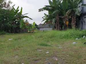 Tanah Luas 650 Meter Persegi Lokasi Strategis di Sedayu Bantul lokasi di Bantul Kab., tersedia melalui melalui situs Olx