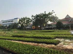 Tanah Luas 8.300 m di Bawah NJOPLokasi Strategis Karang Tengah, Dekat Raden Saleh lokasi di Tangerang Kota, tersedia melalui melalui situs Olx