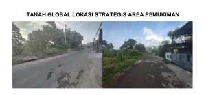 Tanah Luas Cocok Untuk Perumahan Di Jl. Pulau Menjangan, Buleleng BALI lokasi di Buleleng Kab., tersedia melalui melalui situs Olx