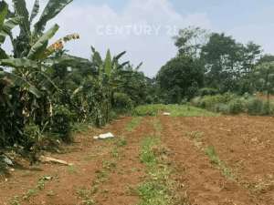 Tanah Luas Dan StrategisDengan Harga Menarik Di Bogor lokasi di Bogor Kab., tersedia melalui melalui situs Olx