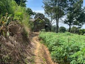 Tanah Luas di Gunung Geulis, Bogor lokasi di Bogor Kab., tersedia melalui melalui situs Olx