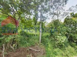 Tanah Luas View Pegunungan Area Bandulan Cocok Peternakan AyamAgrobisnis lokasi di Malang Kab., tersedia melalui melalui situs Olx