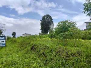 TANAH MATANG CIWARUGA SYP GEGERKALONG MURAH, SHM, NEGO lokasi di Bandung Kota, tersedia melalui melalui situs Olx