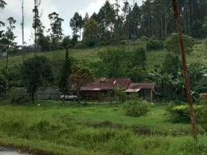 Tanah Matang Di mekarwangi Ciwidey dekat mesjid agung dan alun alun lokasi di Bandung Kab., tersedia melalui melalui situs Olx