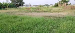 Tanah Matang Untuk Cluster di Campakasari Campaka Purwakarta lokasi di Purwakarta Kab., tersedia melalui melalui situs Olx