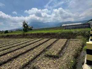 TANAH METRO KOTA BATU EXCLUSIVELY lokasi di Batu Kota, tersedia melalui melalui situs Olx