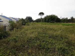 Tanah murah 1000m2 di kulim kota Pekanbaru lokasi di Pekanbaru Kota, tersedia melalui melalui situs Olx