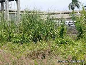 Tanah murah 12000m jalan propinsi cikarang kab bekasi lokasi di Bekasi Kab., tersedia melalui melalui situs Olx