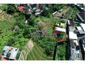 Tanah Murah 2,5 Are di Buduk Dekat Canggu Bisa Nego lokasi di Tabanan Kab., tersedia melalui melalui situs Olx