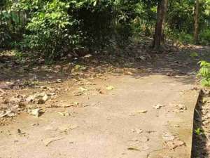 Tanah Murah 5 menit kota wates cocok dibangun kost. lokasi di Kulon Progo Kab., tersedia melalui melalui situs Olx