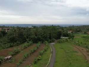 TANAH MURAHAkses Mobil, Kebun Durian, Cengkeh Dan Tanah Kosong lokasi di Purwakarta Kab., tersedia melalui melalui situs Olx