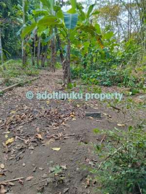 Tanah murah akses mobil di mertoyudan magelang lokasi di Magelang Kota, tersedia melalui melalui situs Olx