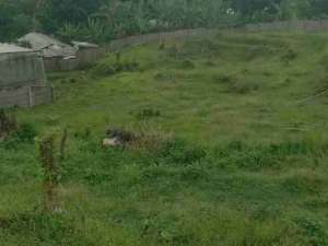 tanah murah bojong koneng lokasi di Babakan Madang, tersedia melalui melalui situs Olx