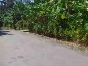 Tanah Murah Bonus lokasi di Purworejo Kab., tersedia melalui melalui situs Olx