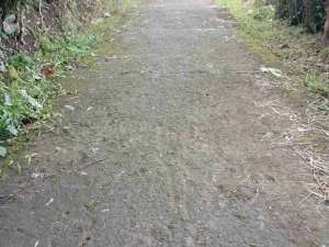 Tanah Murah Bonus bangunan dan 8 pohon durian sudah berbuah dekat kantor kecamatan Kalibawang lokasi di Kulon Progo Kab., tersedia melalui melalui situs Olx