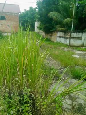 Tanah murah Daerah jl Hangtuah kota Pekanbaru lokasi di Pekanbaru Kota, tersedia melalui melalui situs Olx