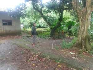 TANAH MURAH DAN STRATEGIS DI KECAMATAN CISEENG DESA CIBEUTEUNG DEKAT TELAGA KAHURIPAN lokasi di Bogor Kab., tersedia melalui melalui situs Olx