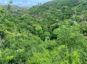 Tanah murah dekat Circuit motoGp Kuta Mandalika Lombok lokasi di Lombok Tengah Kab., tersedia melalui melalui situs Olx