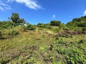 Tanah murah dekat pantai Awang Mandalika Lombok. Cocok untuk villa lokasi di Lombok Timur Kab., tersedia melalui melalui situs Olx