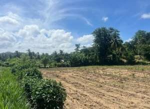 Tanah murah dekat pantai Selong belanak lombok. Cocok untuk villa lokasi di Lombok Tengah Kab., tersedia melalui melalui situs Olx