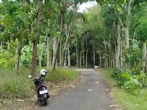 Tanah Murah dekat Polres Kulon Progo lokasi di Kulon Progo Kab., tersedia melalui melalui situs Olx