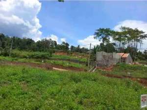 Tanah murah Di Bandung Deket Tol Cileunyi lokasi di Bandung Kab., tersedia melalui melalui situs Olx