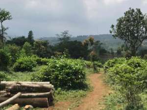 Tanah Murah Di Bawah NJOP,Pinggir Jln Utama lokasi di Purwakarta Kab., tersedia melalui melalui situs Olx