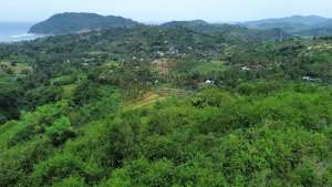 Tanah murah di central Kuta Mandalika Lombok full view lokasi di Lombok Tengah Kab., tersedia melalui melalui situs Olx