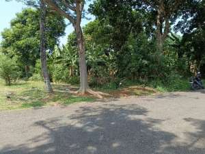 tanah murah di Jagakarsa Jakarta selatan lokasi di Depok Kota, tersedia melalui melalui situs Olx