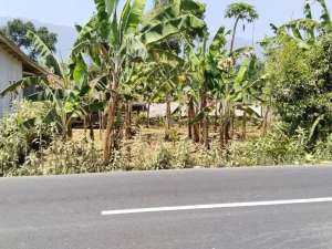 Tanah MURAH Di Jalan Raya Wanayasa Purwakarta lokasi di Purwakarta Kab., tersedia melalui melalui situs Olx