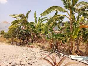 Tanah Murah di kota Cirebon dekat RS putra Bahagia Akses mobil lokasi di Cirebon Kota, tersedia melalui melalui situs Olx