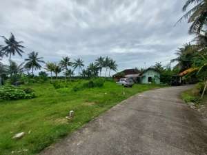 TANAH MURAH DI PENGASIH KULONPROGO DIJUAL MURAH lokasi di Yogyakarta Kota, tersedia melalui melalui situs Olx