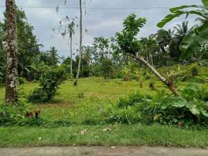 tanah murah di tegalalang ubud lokasi di Gianyar Kab., tersedia melalui melalui situs Olx
